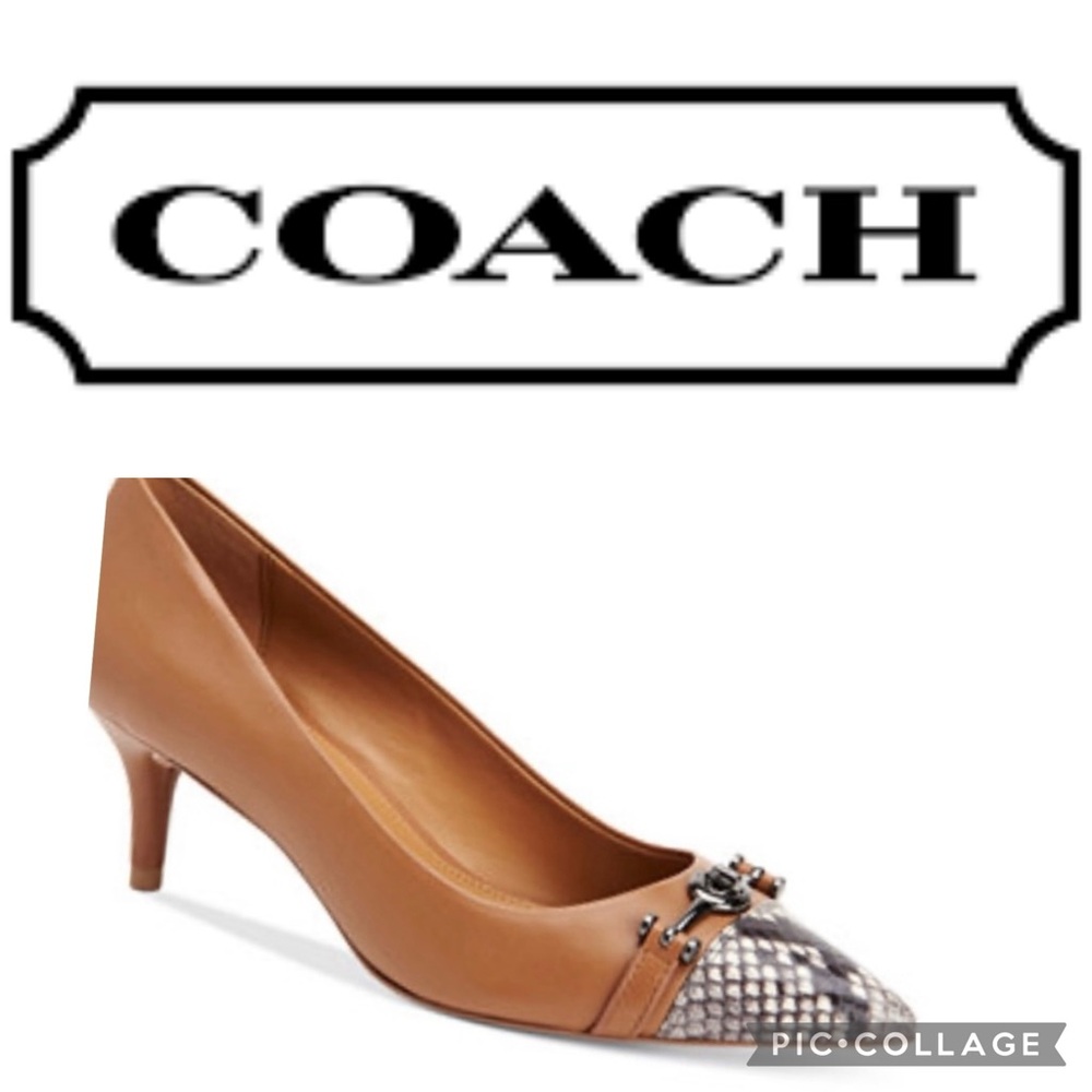 Classic Coach Lauri Leather And Python Cap Toe Pump